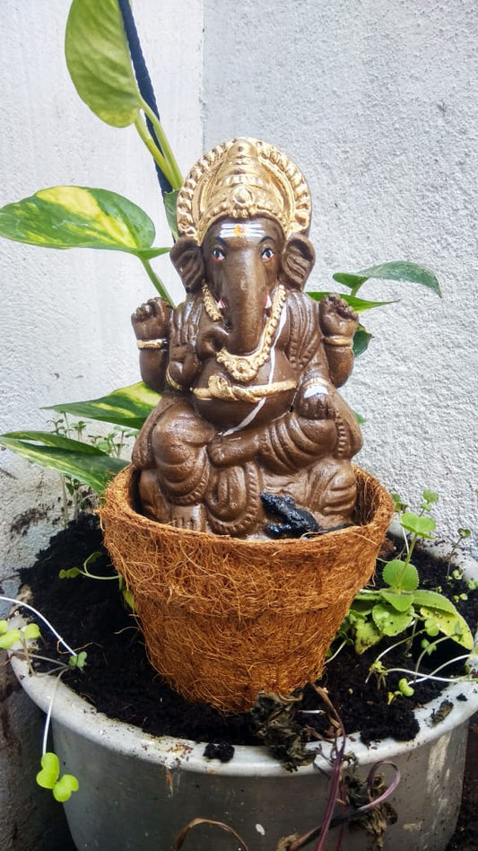 Seed Ganesha